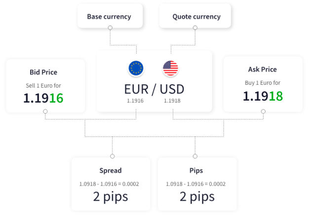 Forex beginners chart