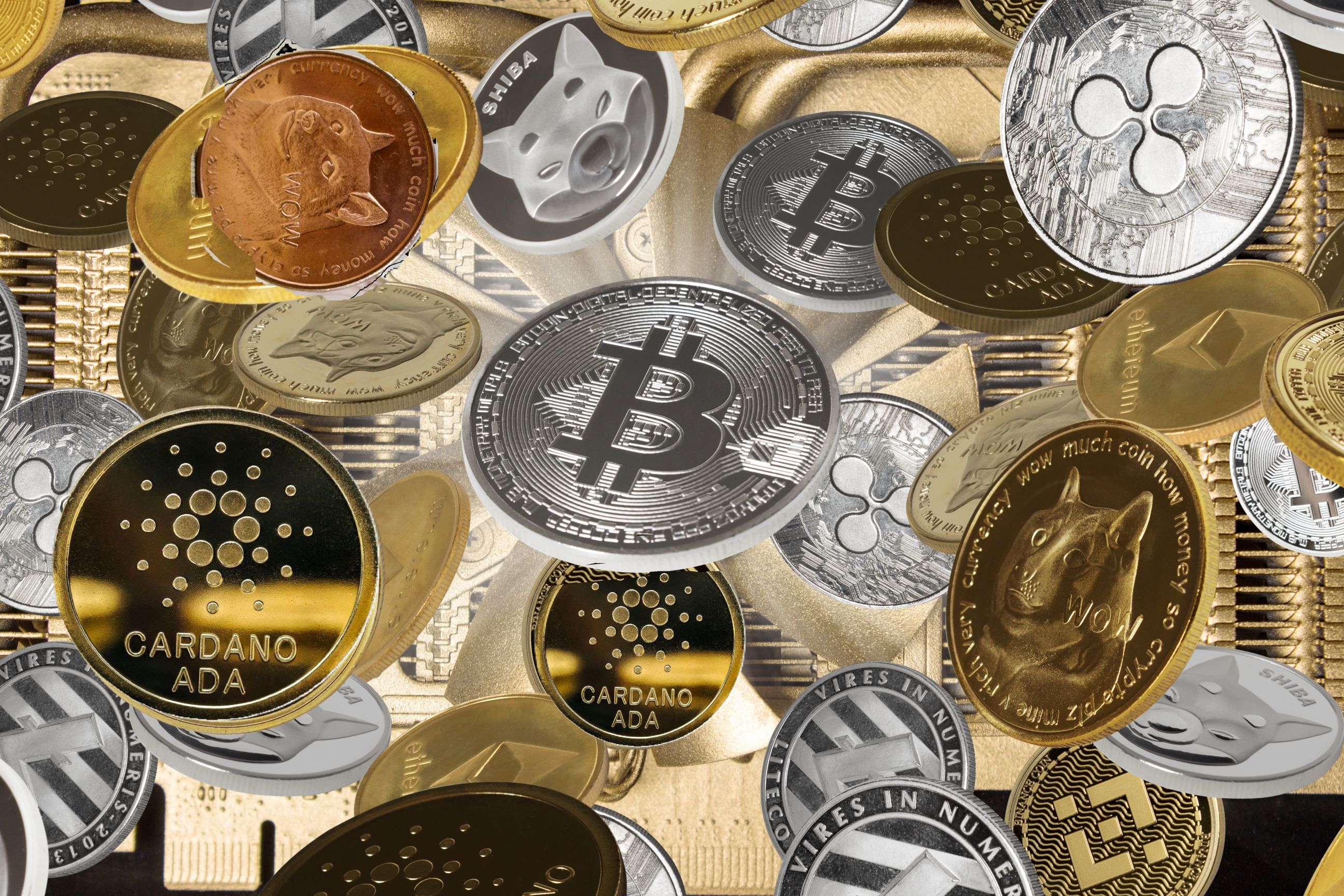 Bitcoin nears $100k, but Dogecoin, Ripple, and Cardano have climbed faster.